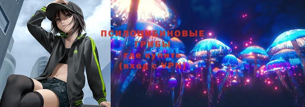 Альфа ПВП Покачи